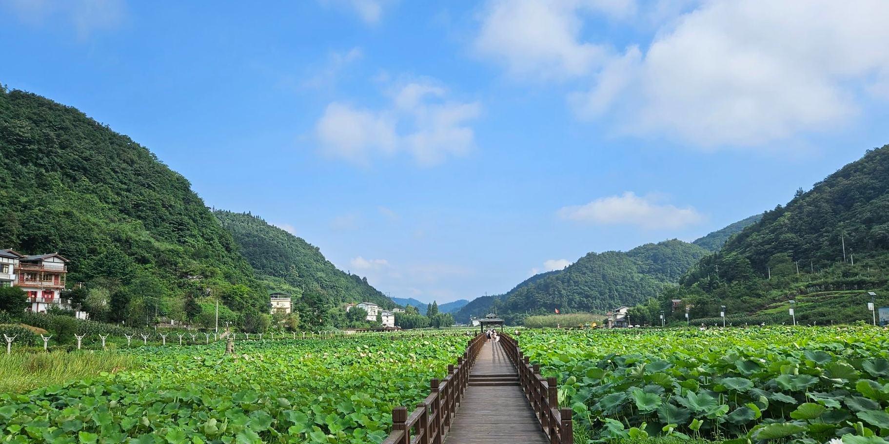 土河荷塘苗乡景区