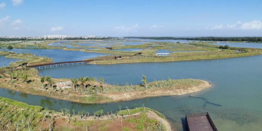 海口江东野钓场