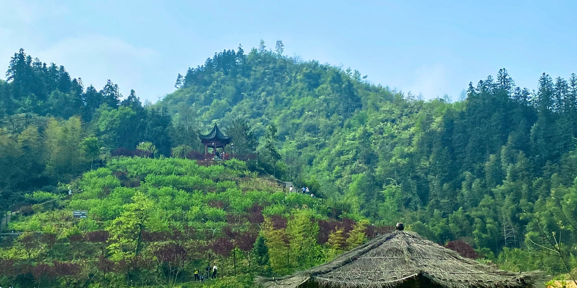 屏山景区