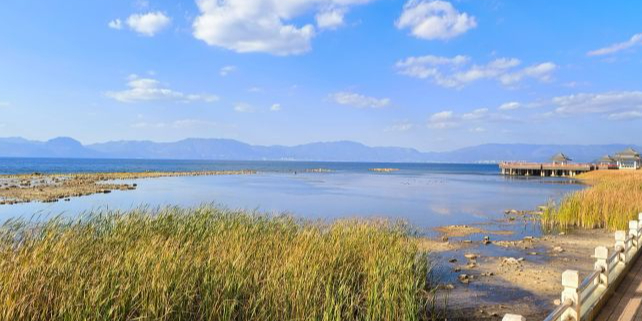 仙湖湾景区