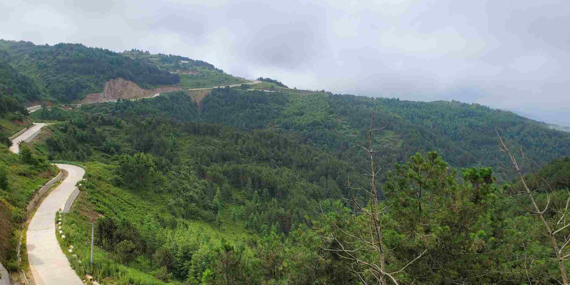 陇南香山自然保护区