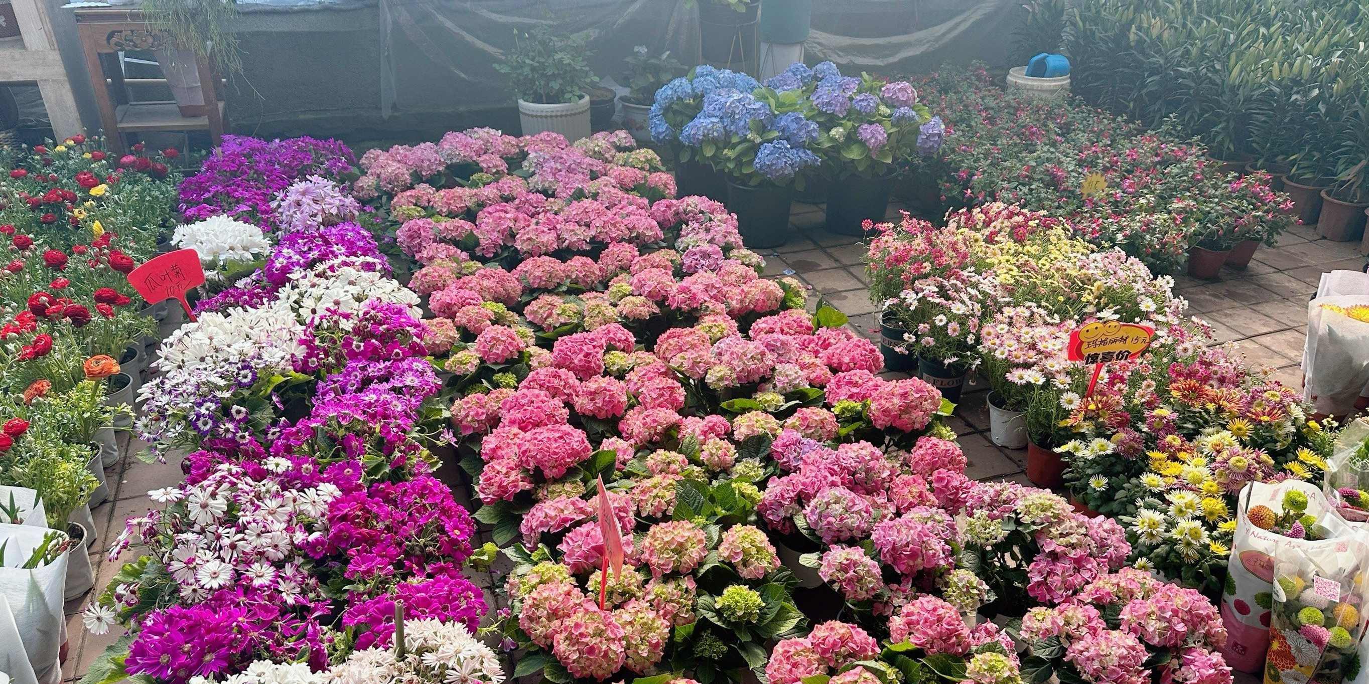 八里堡花窖