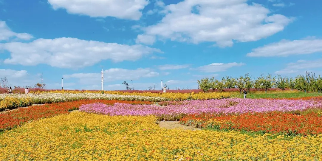 花海谷