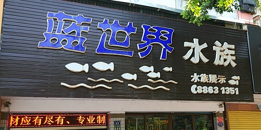 蓝世界水族馆(金环南路店)