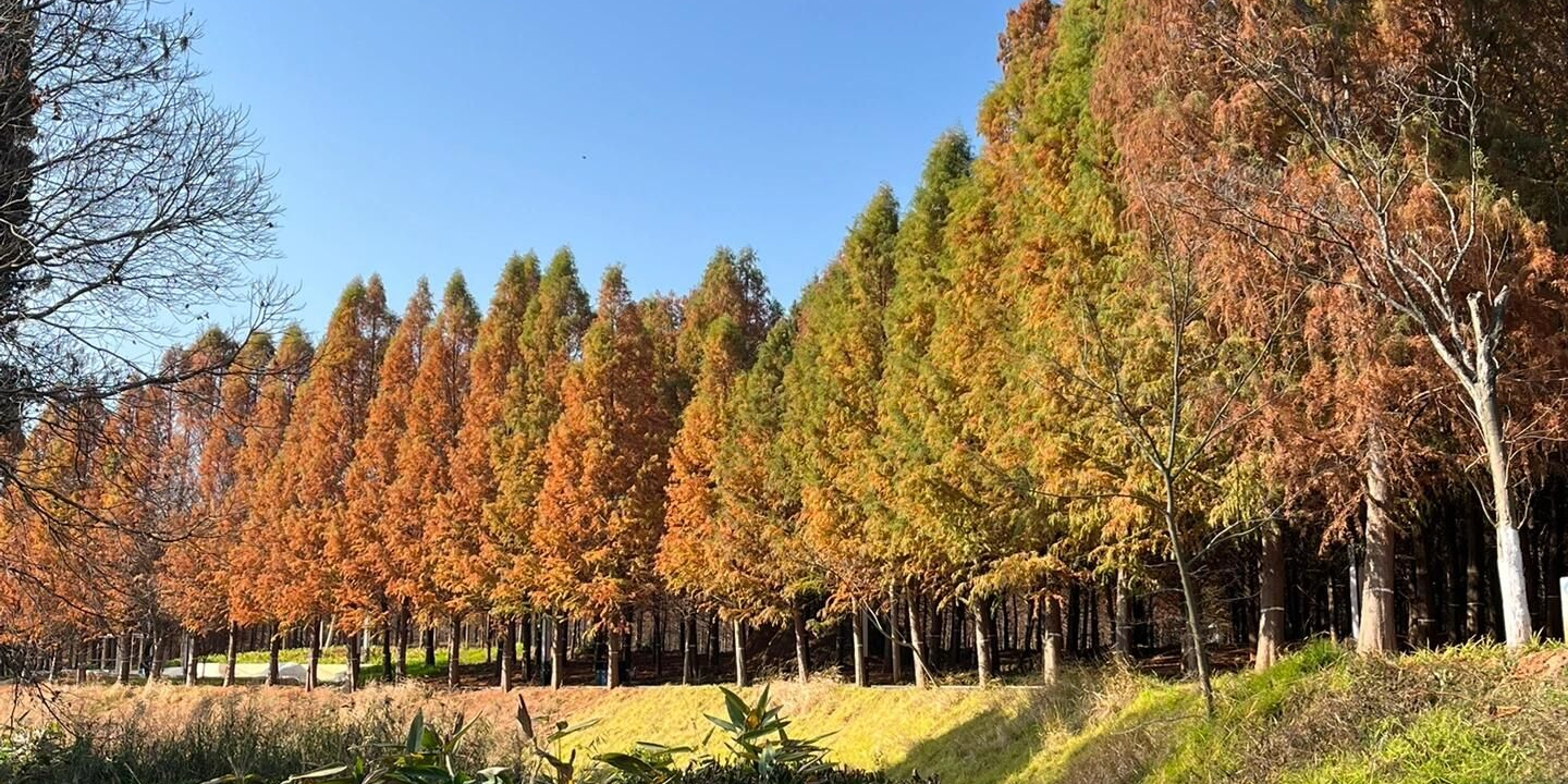 梁王河湿地公园