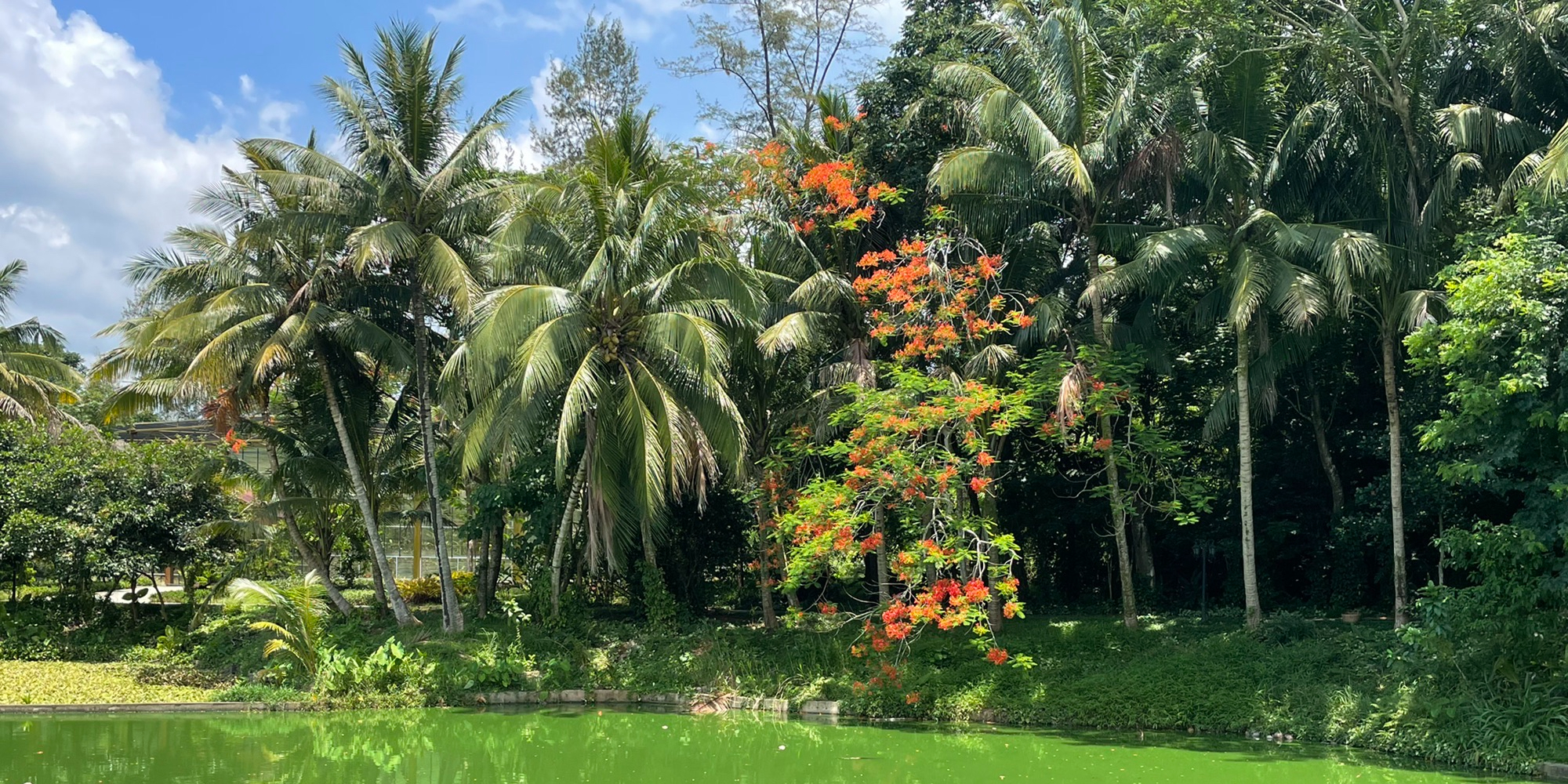 南国植物园