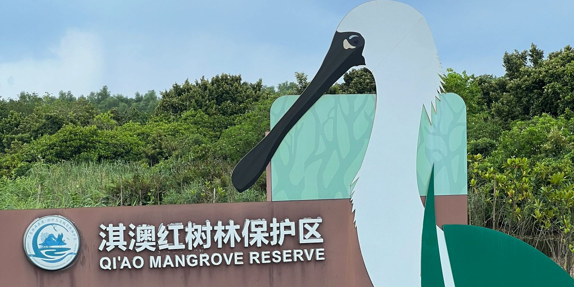珠海淇澳红树林保护区