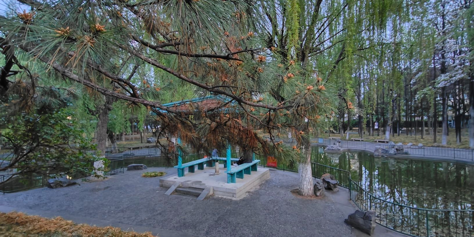 闻韶园