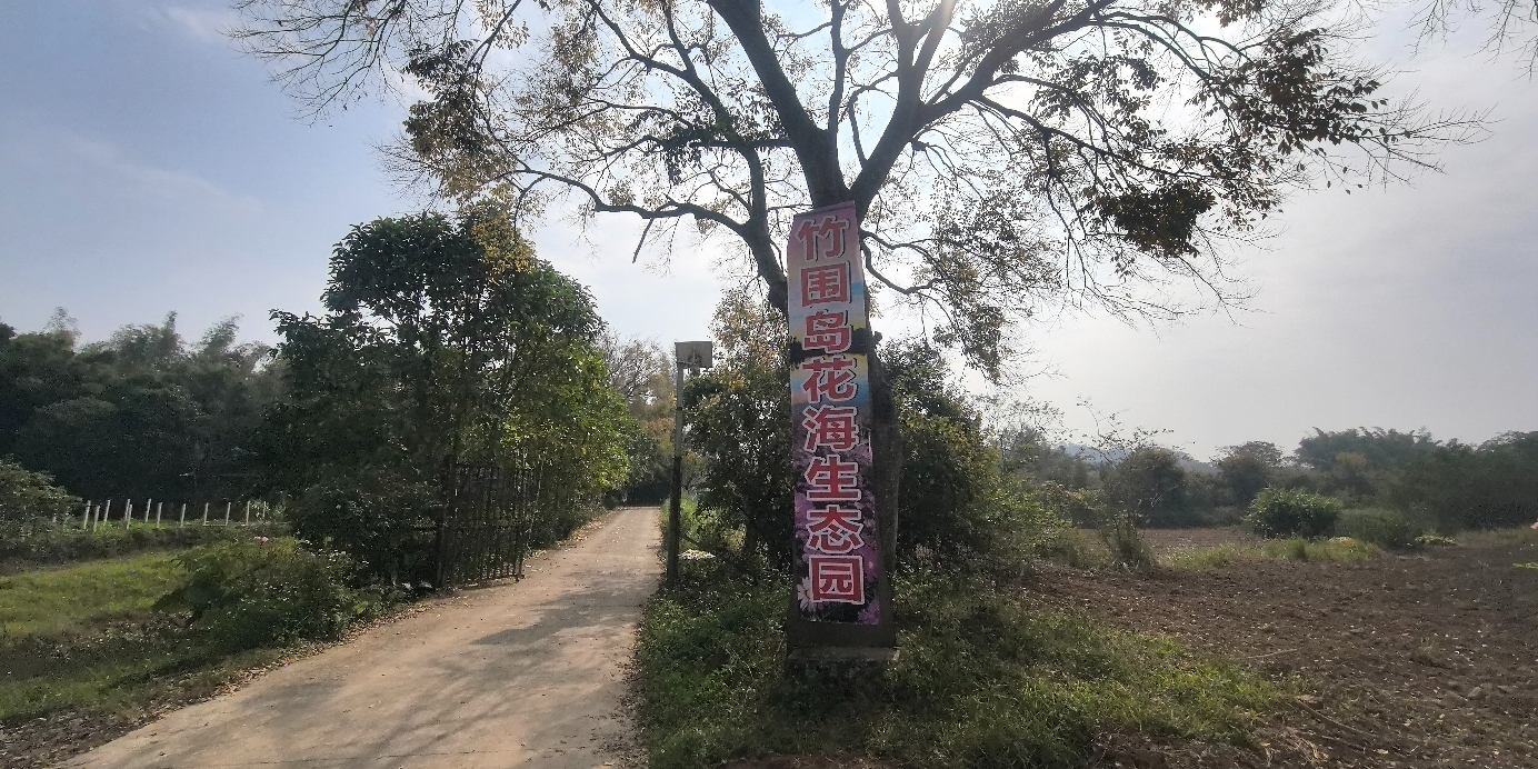 竹围岛花海生态园