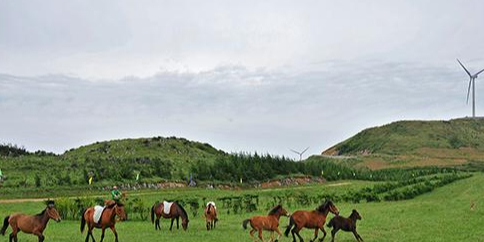 齐岳山大草原石景大型跑马场