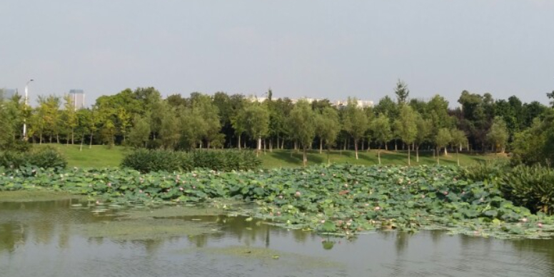 瑶湖湿地自然保护区