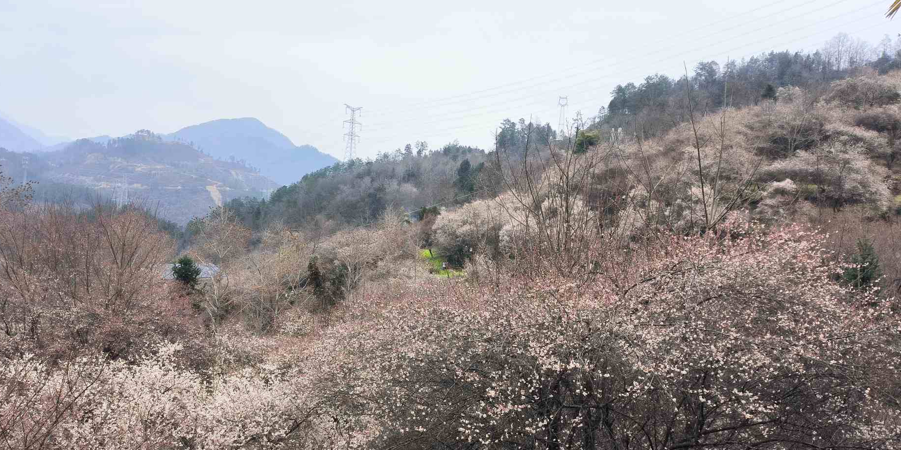 印象梅林景区