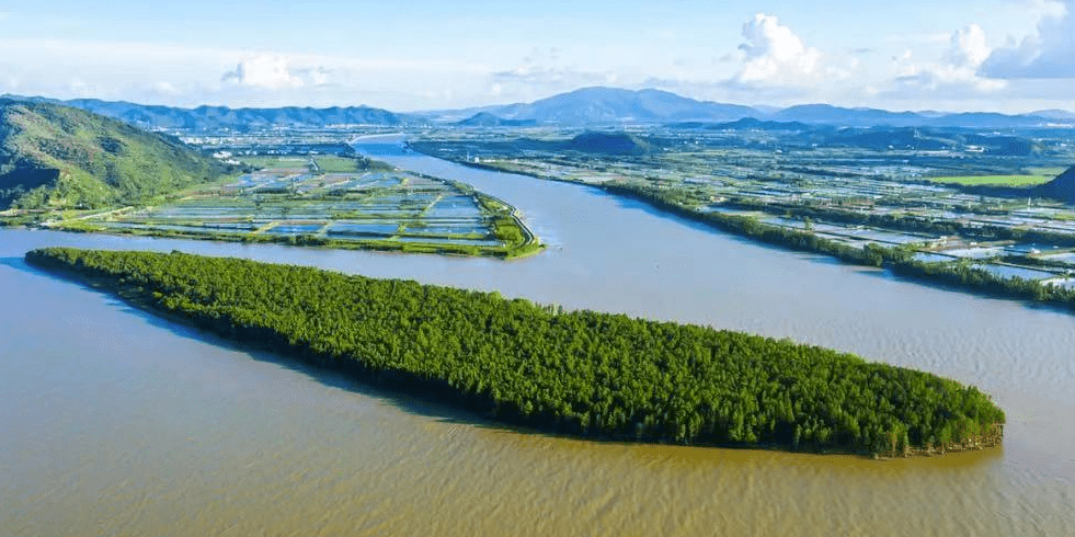 斗门水松林自然保护区