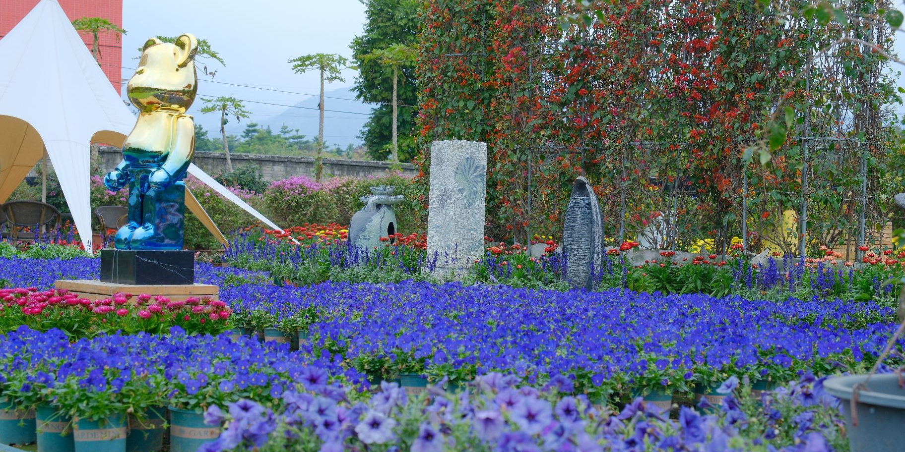 花卉庄园·清远本地菜