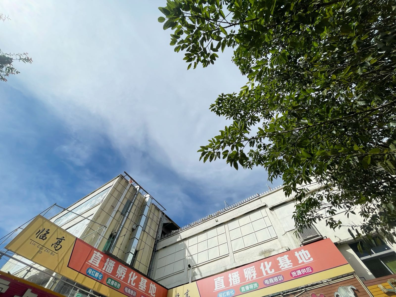 临高直播孵化基地