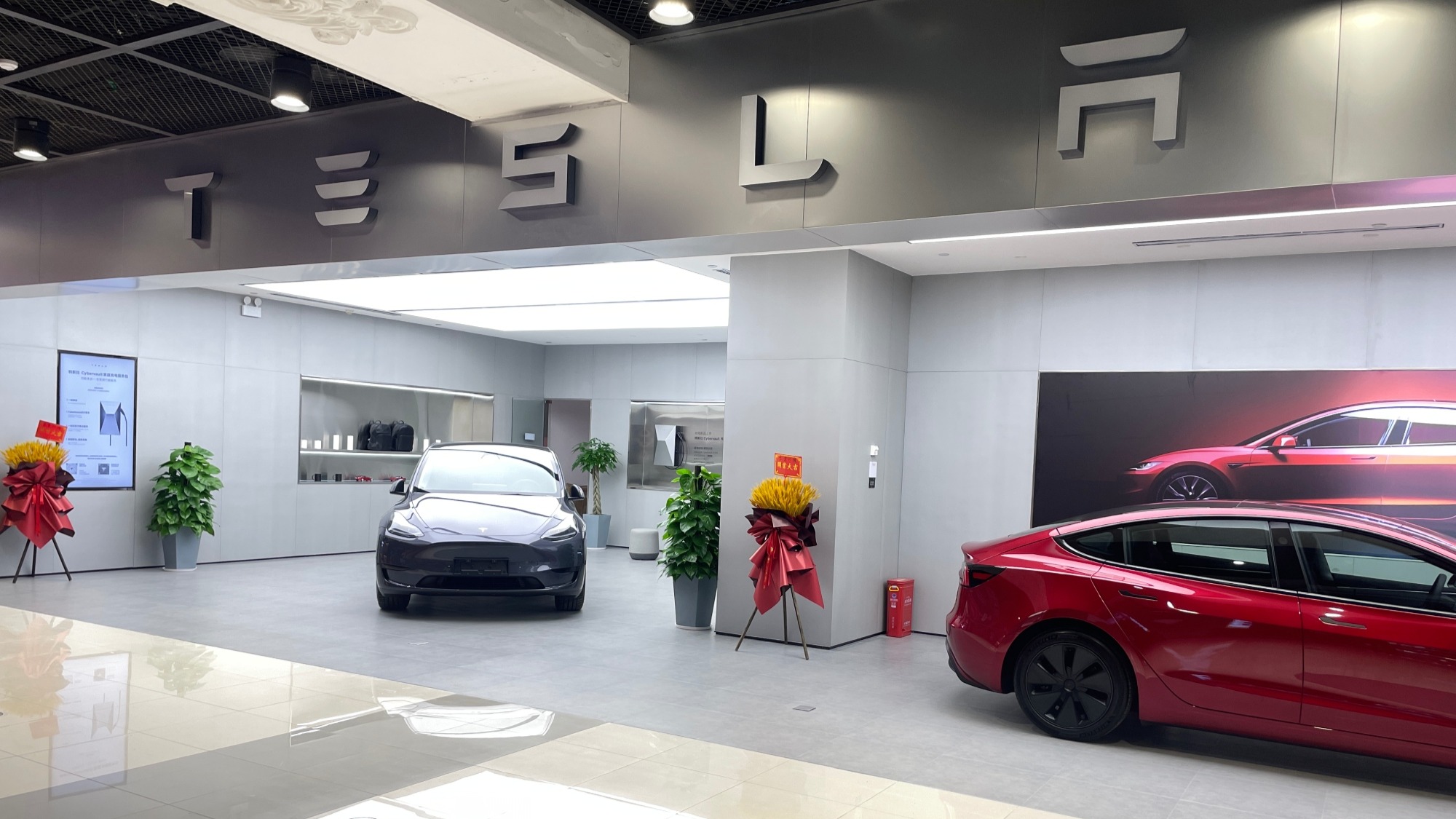 特斯拉(海口远大购物中心体验店)