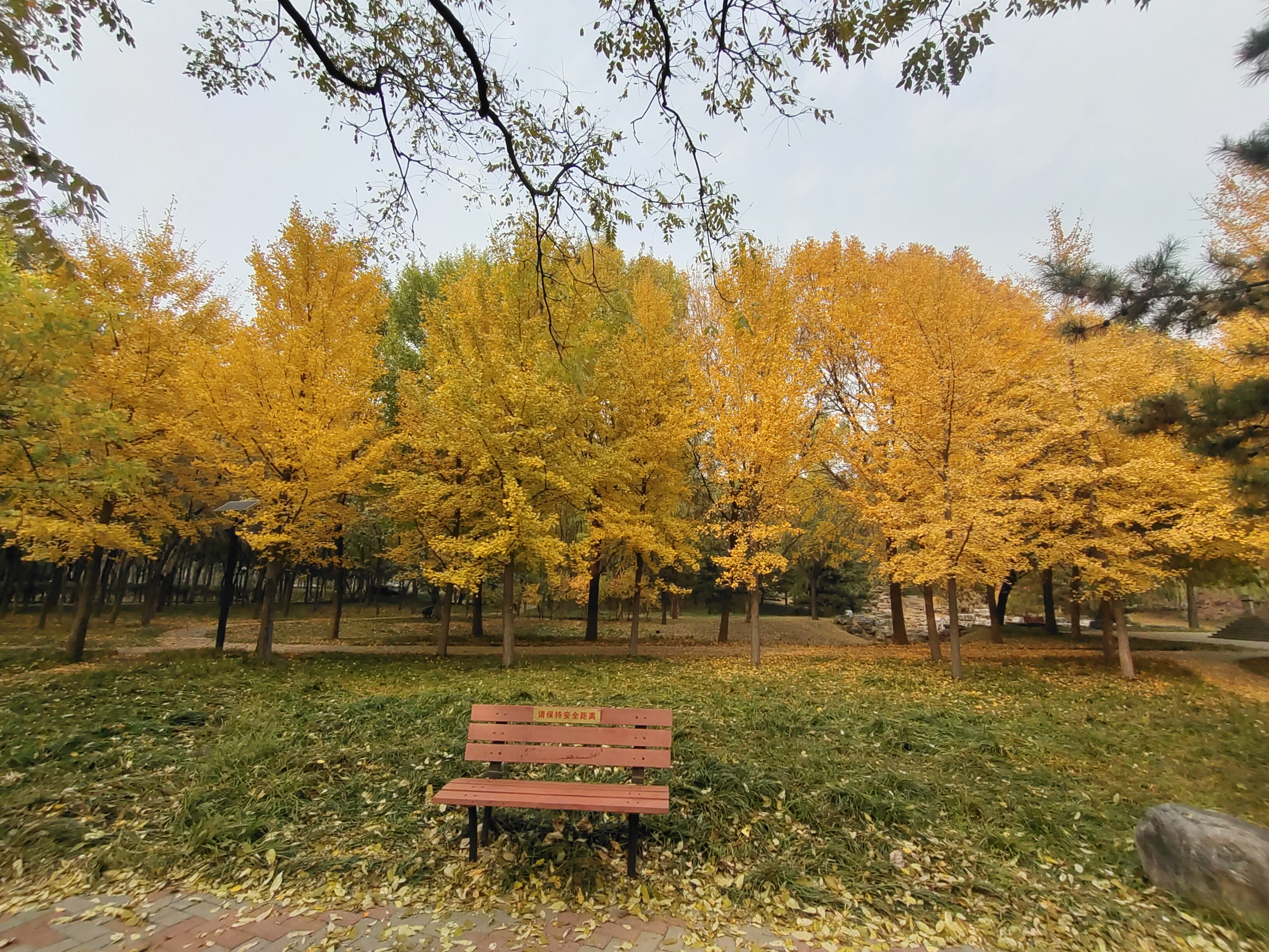 将府公园