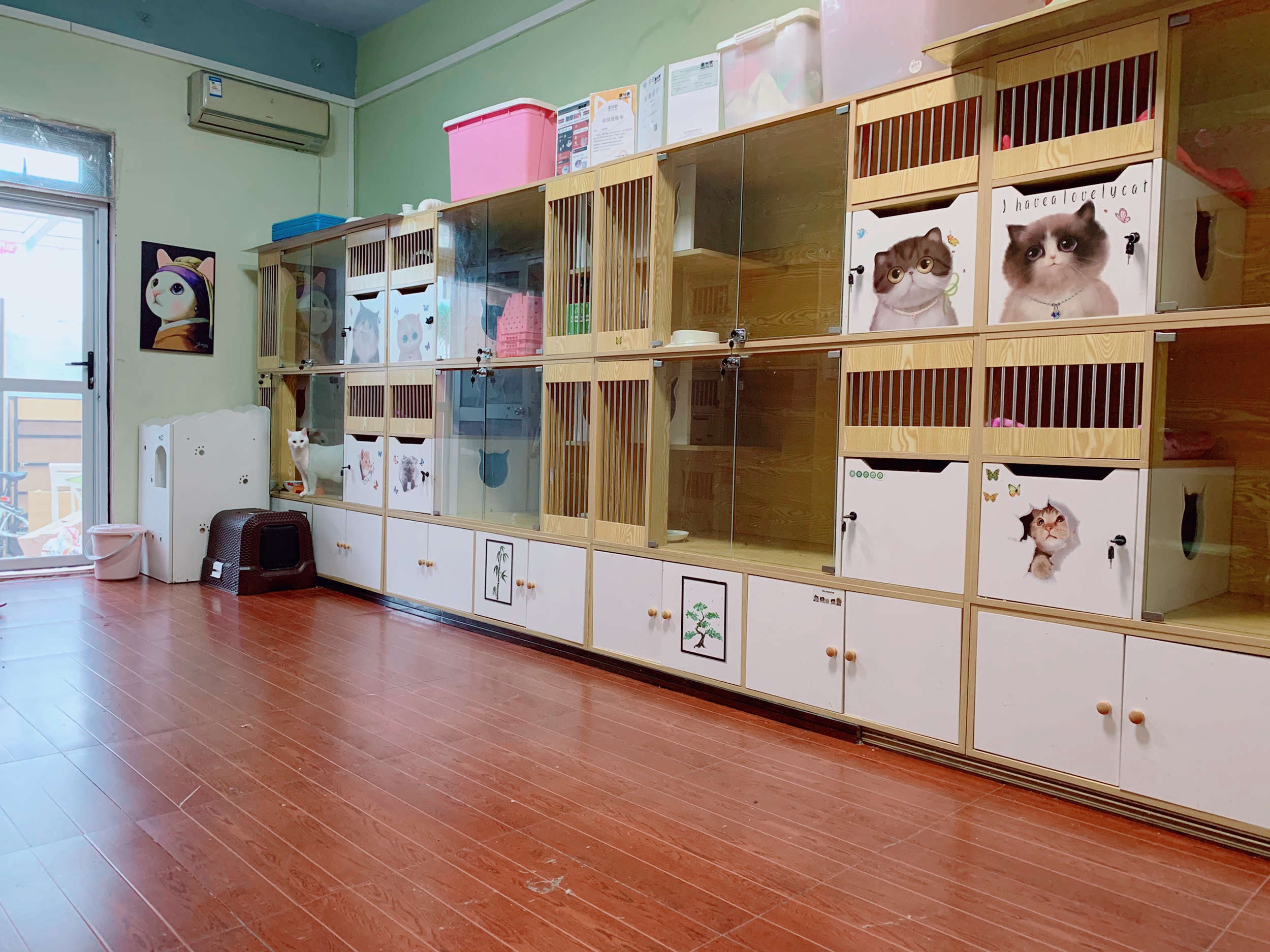 4043528电话:17717906121评论数:4总体评分(甜甜猫舍怎么样)5环境