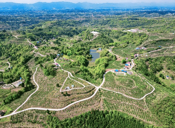 董家镇人民政府