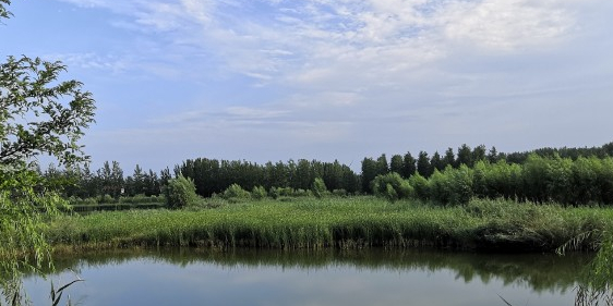 东明黄河国家湿地公园