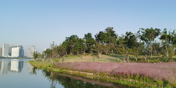 天禄湖