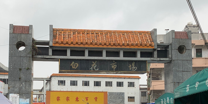 广东省惠州市惠东县白花镇长沥下列街白花市场