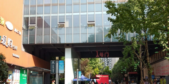 保利想学起