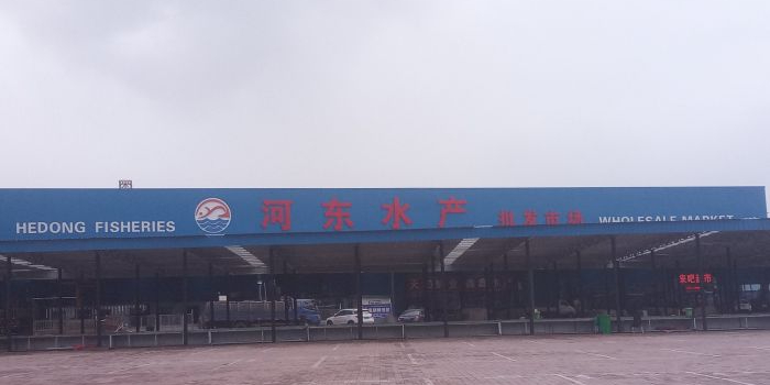 河东水产批发市场