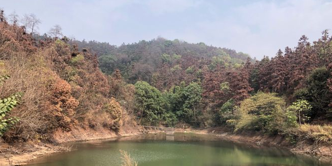 狮峰山森淋公园园