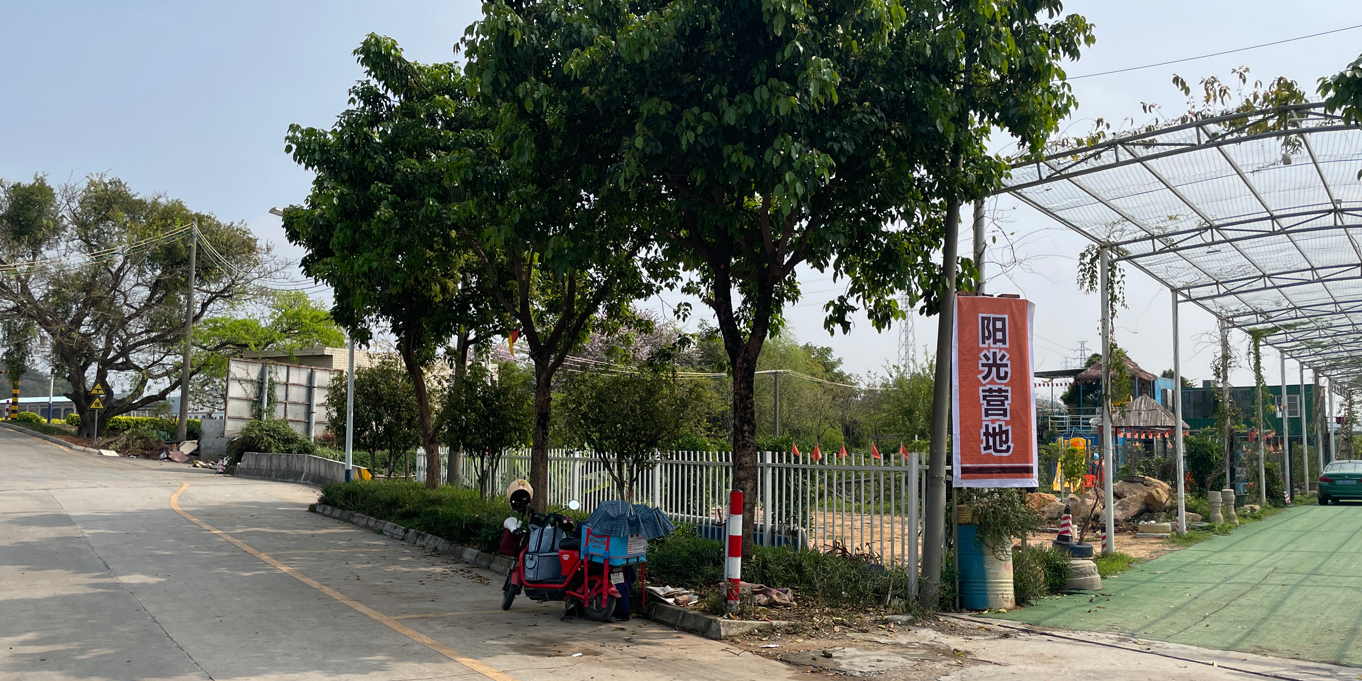 阳光营地·团建·露营·烧烤