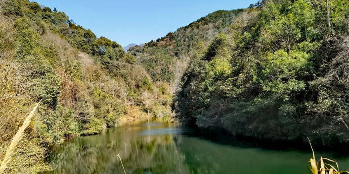 江西官山国家级自然保护区