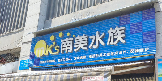 南美水族(义学路店)