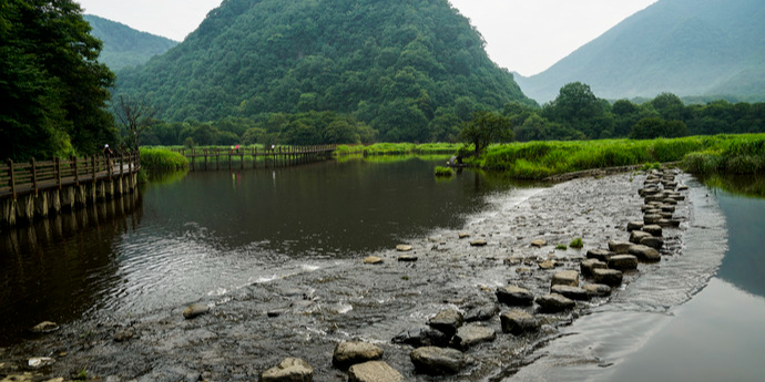 神农架林区木鱼镇九湖乡大九湖村