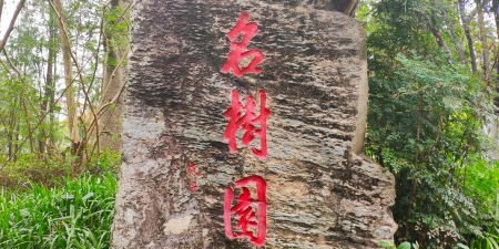 名树园