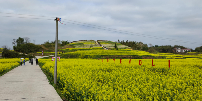 锁石花之园景区