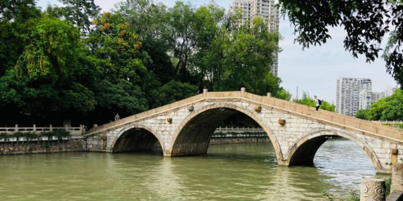 东坡公