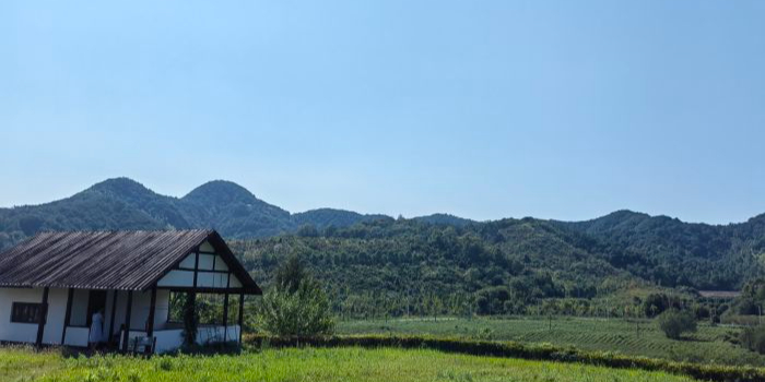 印山越国王陵文化旅游区