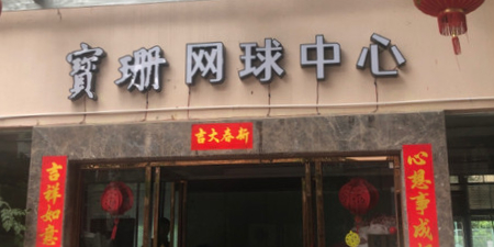 宝珊花园网篮球