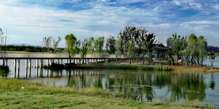 秦潭湖湿地公园