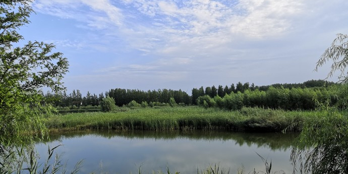 东明黄河国家湿地公园