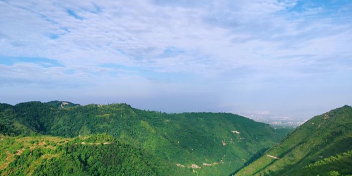 洪庆山国家森林公园