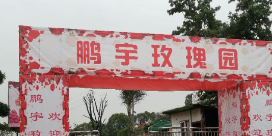 鹏宇玫瑰园