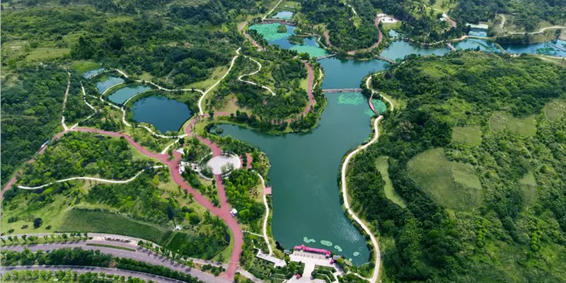 卧龙湖湿地公园