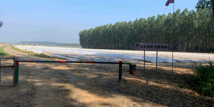 叮当岛(趣汇友自驾游营地)