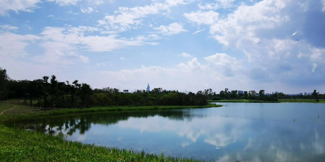青龙湖二期公园