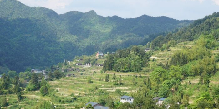 花坝旅游度区