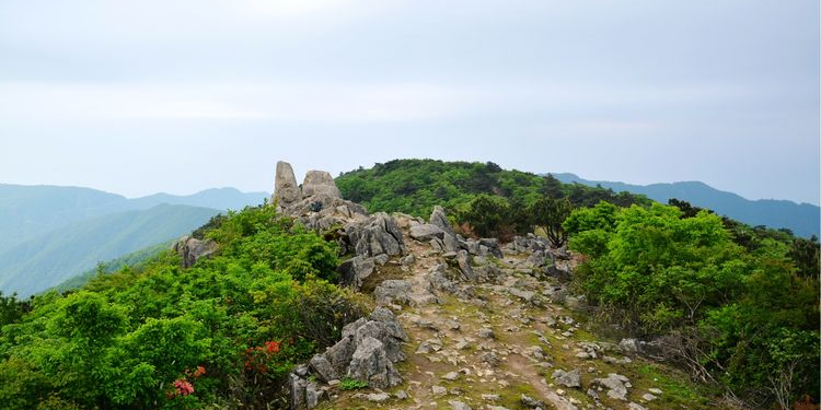 龙玉山山顶