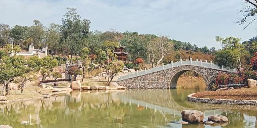 马岭观花卉植物园