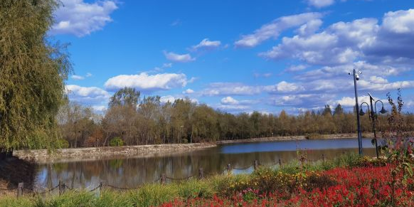 绥化市森林植物园