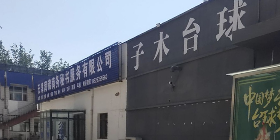 子木台球